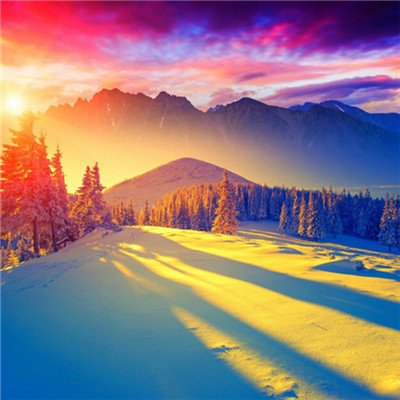 2023年最流行图片头像(22张)