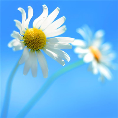 2023年最流行图片头像(22张)