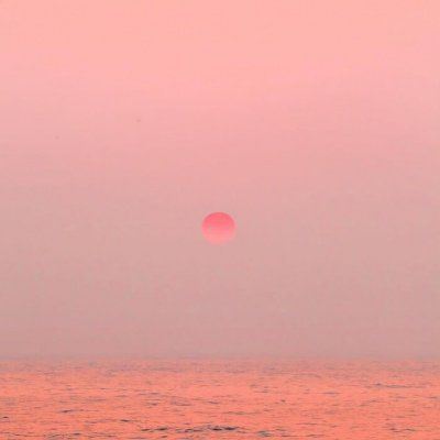 2023年最流行图片头像(22张)