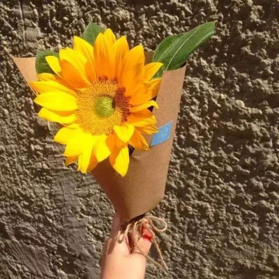 2023向日葵最火头像(22张)