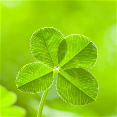 2023最红的微信头像(20张)