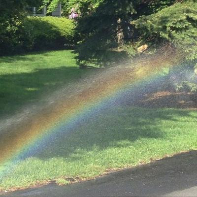 2023最红的微信头像(20张)