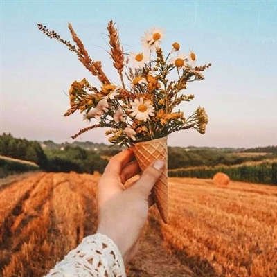 2023年最火的运动头像(精选24张)