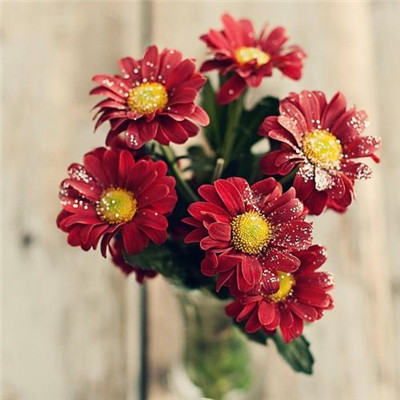 2023全网最火的头像(24张)