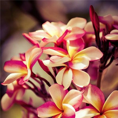 2023全网最火的头像(24张)