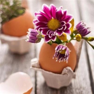 2023全网最火的头像(24张)