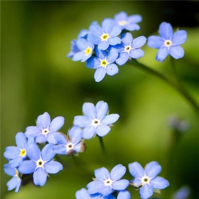 2023全网最火的头像(24张)