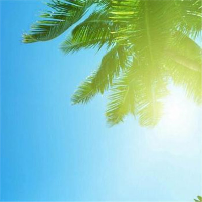 女人2023最走运的头像(16张)