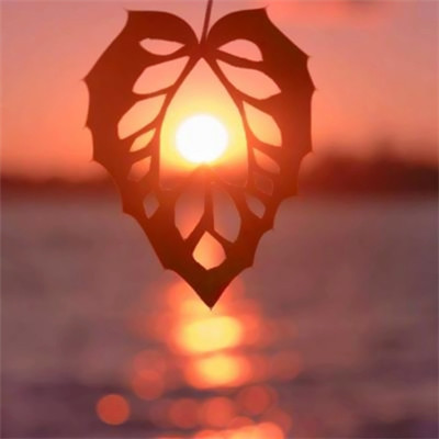 女人2023最走运的头像(16张)