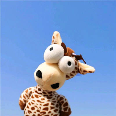 女人2023最走运的头像(16张)