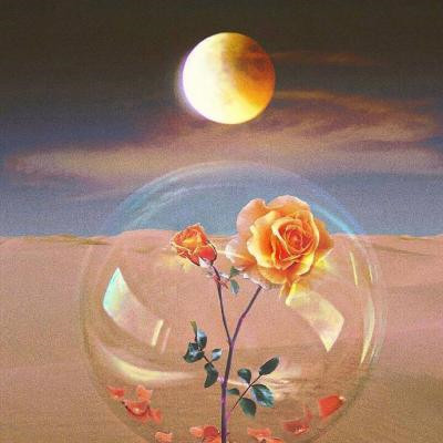 女人2023最走运的头像(16张)