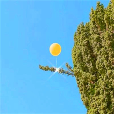 2023风景最火微信头像(精选26张)