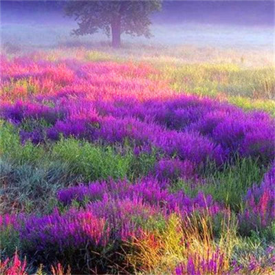 2023风景最火微信头像(精选26张)