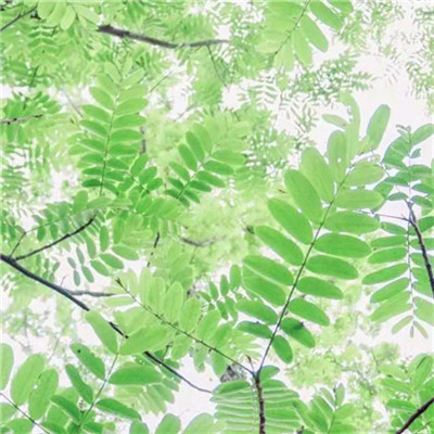 2023风景最火微信头像(精选26张)