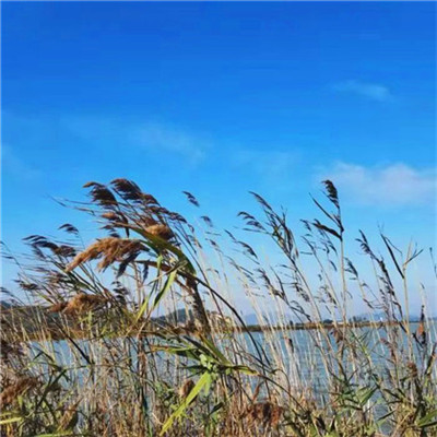 2023风景最火微信头像(精选26张)