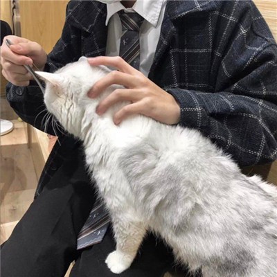 2023男士最火头像(32张)