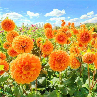 2023最火的微信头像(精选24张)