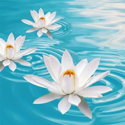 2023年最火的人物微信头像(24张)