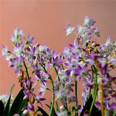 2023年最火的人物微信头像(24张)