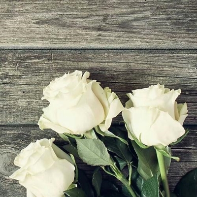 2023年最火的人物微信头像(24张)