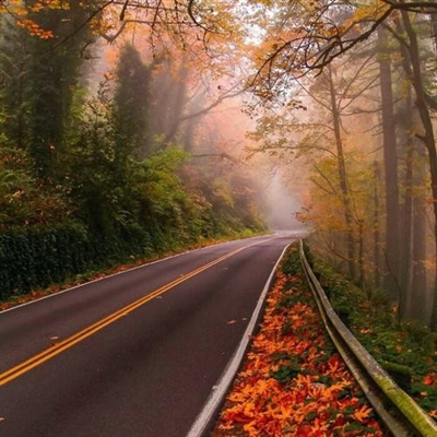 2023年最火的人物微信头像(24张)