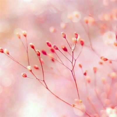 2023年最火的人物微信头像(24张)