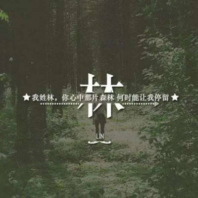 2023林氏最火微信头像(精选18张)