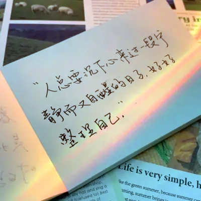 2023用的最火的头像(精选29张)