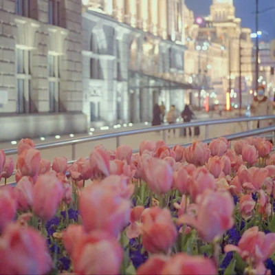 2023用的最火的头像(精选29张)