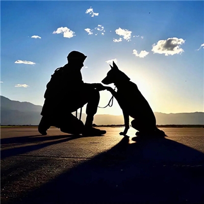 2023最火男生微信头像(22张)