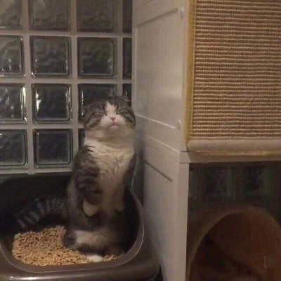 头像图片2023最叼头像(精选24张)