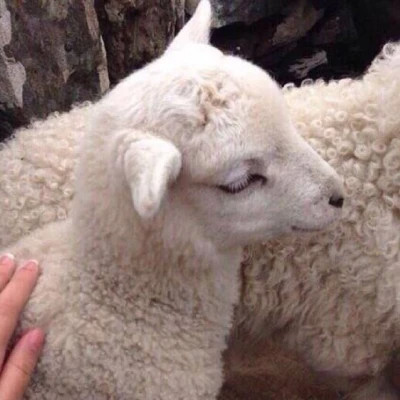 头像图片2023最叼头像(精选24张)