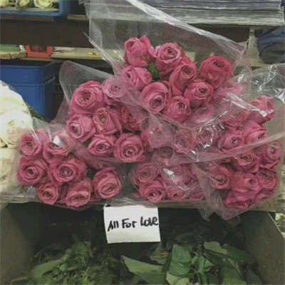 最潮2023头像(精选32张)