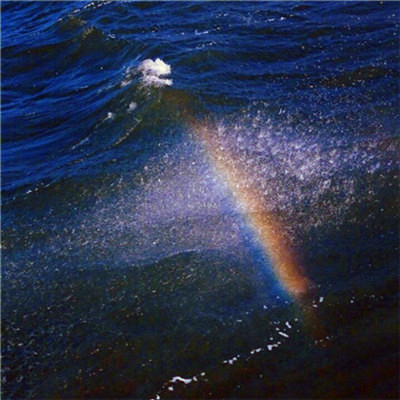 2023年最流行头像(24张)