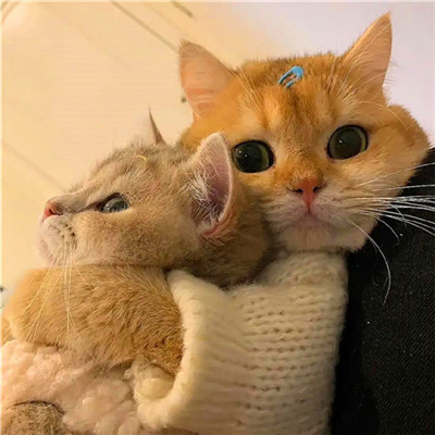 2023年最潮情侣头像(32张)