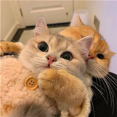 2023年最潮情侣头像(32张)