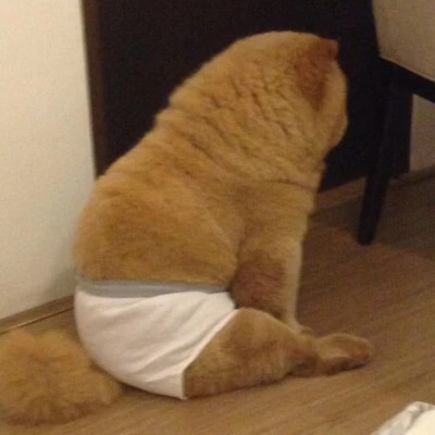 2023年最搞笑图片头像(精选22张)