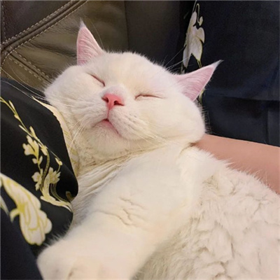 2023年微信最火头像(22张)