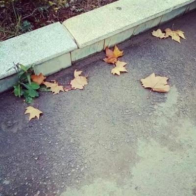 2023年微信最火头像(22张)