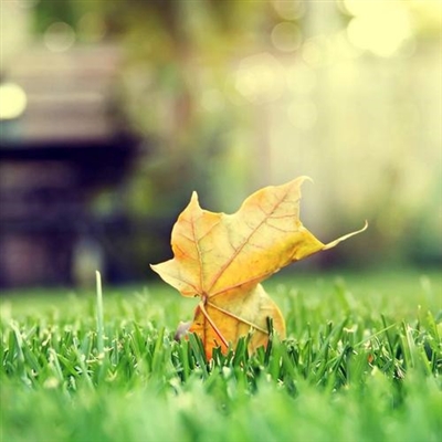 2023年微信最火头像(22张)