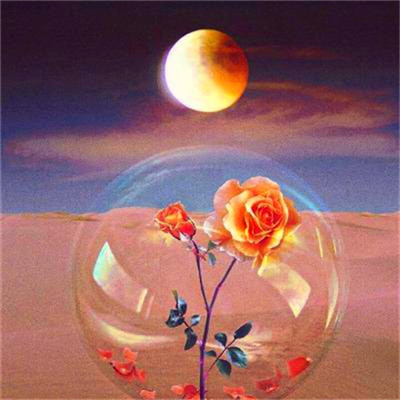 2023最火的好运头像(22张)