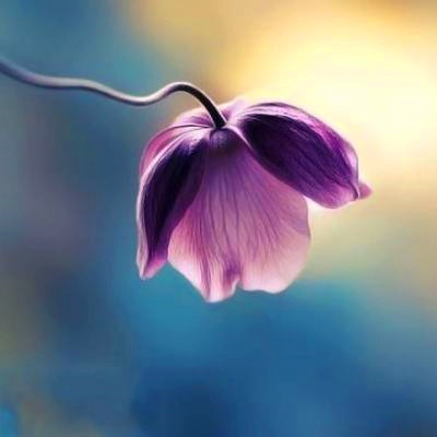 2023最火的好运头像(22张)