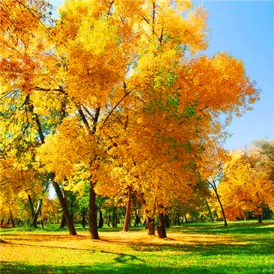 2023最火的好运头像(22张)