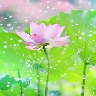 2023微信最火头像(精选24张)