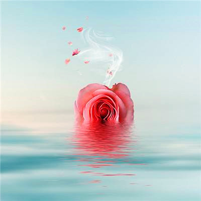 2023微信最火头像(精选24张)