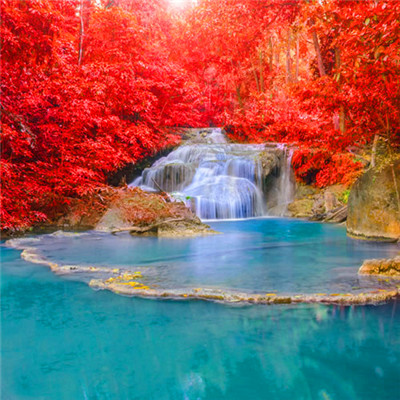 2023微信最火头像(精选24张)