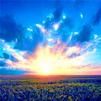 2023微信最火头像(精选24张)