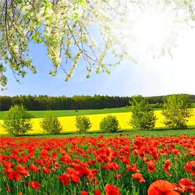 2023微信最火头像(精选24张)