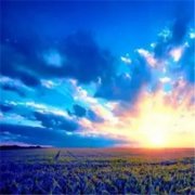 抖音最火的2023年头像(精选24张)