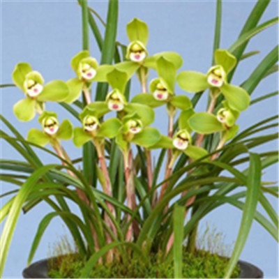 抖音最火的2023年头像(精选24张)